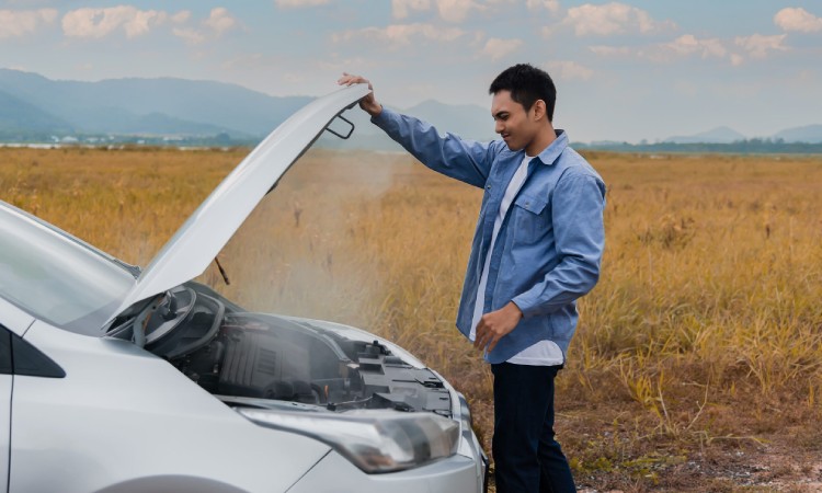 Mesin mobil overheat, Sumber: evalube.com