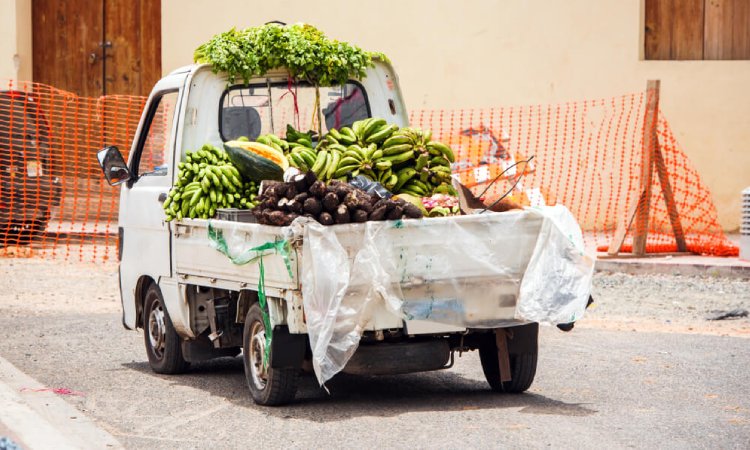 Mobil pick up untuk bisnis, Sumber: rajatransit.com